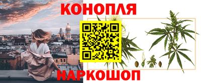 apvp Боровичи