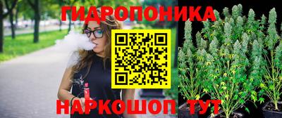 прущие грибы Владикавказ