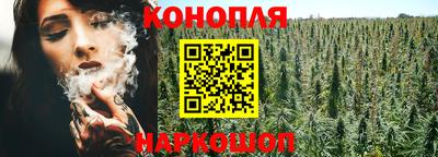 apvp Боровичи