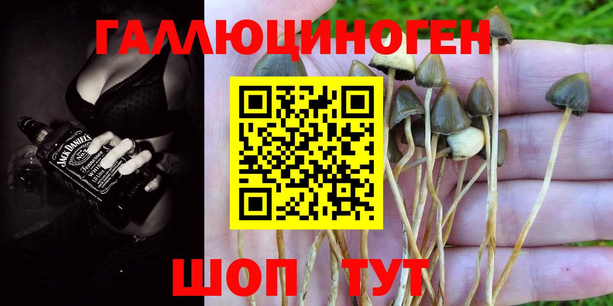 Псилоцибиновые грибы GOLDEN TEACHER Белогорск